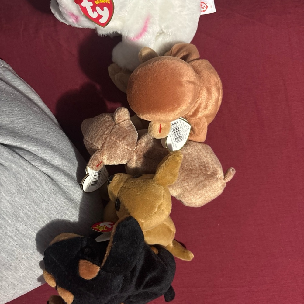 Ty Plush Toy Collection in Brown and Black